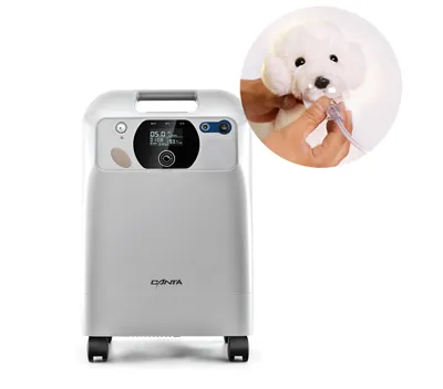 5L Oxygen Concentrator For Veterinary Use